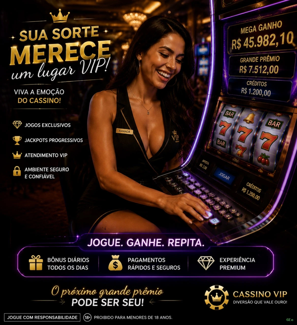 Programa VIP 6Ee